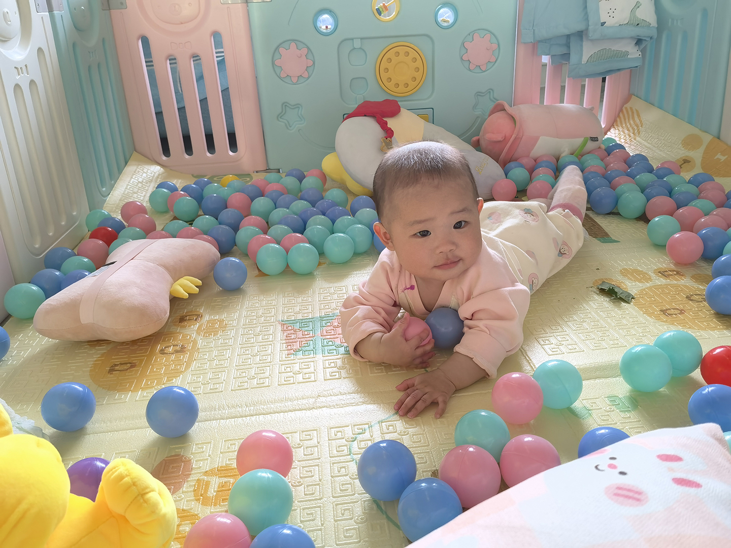 2024-11-29 16-46-21.873.jpg